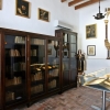 IX. Biblioteca