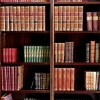 IX. Biblioteca