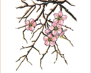 Árboles frutales