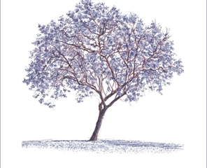 Árboles ornamentales