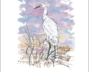Fauna asociada