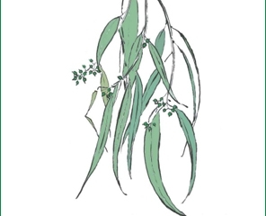 Árboles forestales